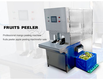 Chine système de lavage d'épluchage complètement automatique de machine de développement des fruits et légumes 220V fournisseur